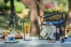 Brass Gold Tabletop Vintage Frame Geometric Ornament Plant Specimen Clip Modern Decor Card Holder 5X7" Reception 29 Brass Gold Tabletop Vintage Frame Geometric Ornament Plant Specimen Clip Modern Decor Card Holder 5X7" Reception -Ncyp Garden Sale Shop G01A0207