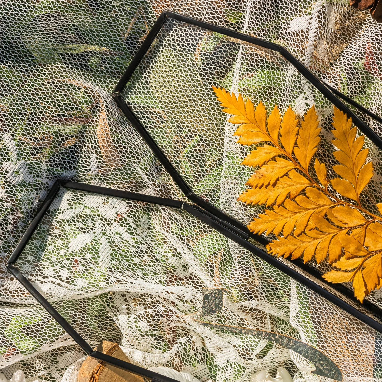 Brass Gold Tabletop Vintage Frame Geometric Ornament Plant Specimen Clip Modern Decor Card Holder 5X7" Reception 19 Brass Gold Tabletop Vintage Frame Geometric Ornament Plant Specimen Clip Modern Decor Card Holder 5X7" Reception - Image 19