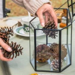 Halloween Gothic Coffin Black Geometric Glass Card Box Terrarium With Swing Lid, Heart Lock, Handmade Brass For Wedding Reception Wishwell Keepsake 35 Halloween Gothic Coffin Black Geometric Glass Card Box Terrarium With Swing Lid, Heart Lock, Handmade Brass For Wedding Reception Wishwell Keepsake -Ncyp Garden Sale Shop G01A0582