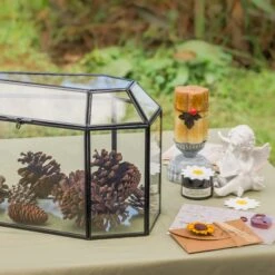 Halloween Gothic Coffin Black Geometric Glass Card Box Terrarium With Swing Lid, Heart Lock, Handmade Brass For Wedding Reception Wishwell Keepsake 27 Halloween Gothic Coffin Black Geometric Glass Card Box Terrarium With Swing Lid, Heart Lock, Handmade Brass For Wedding Reception Wishwell Keepsake -Ncyp Garden Sale Shop G01A0600