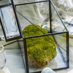 Lockable Black Geometric Glass Card Box Terrarium Foot Handmade Rectangular For Wedding Reception Wishwell Keepsake -Ncyp Garden Sale Shop G01A2769