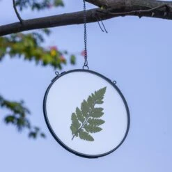 6" Black Wall Hanging RoundHerbarium Brass Glass Frame For Pressed Flowers, Poster, Double Glass, Floating Frame -Ncyp Garden Sale Shop G01A2972