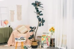 NCYP Artificial Rubber Tree, Rubber Fig, Rubber Bush 5.9FT (70.8 Inches) Tall Faux Plant For Home Office Decor, Indoor Fake Potted Ficus Elastica Tree With Plastic Pot And Rattan Woven Basket -Ncyp Garden Sale Shop G01A5298 5c56cee8 4013 4df0 86b6 006318ccaa1d