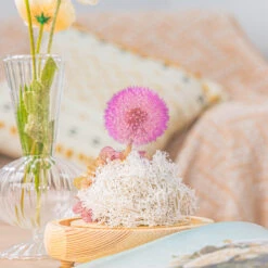 Purple Presered Dandelion Set 3 Pcs Dried Flowers, DIY Material For Bouquet, -Ncyp Garden Sale Shop G01A5892