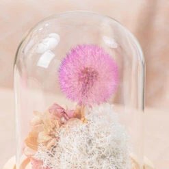 Purple Presered Dandelion Set 3 Pcs Dried Flowers, DIY Material For Bouquet, -Ncyp Garden Sale Shop G01A5901