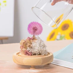 Purple Presered Dandelion Set 3 Pcs Dried Flowers, DIY Material For Bouquet, -Ncyp Garden Sale Shop G01A5915