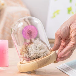 Purple Presered Dandelion Set 3 Pcs Dried Flowers, DIY Material For Bouquet, -Ncyp Garden Sale Shop G01A5916