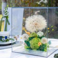 Super Large Diameter 11cm / 4.3 Presered Dandelion Dried Flowers, DIY Material For Bouquet, -Ncyp Garden Sale Shop G01A8980
