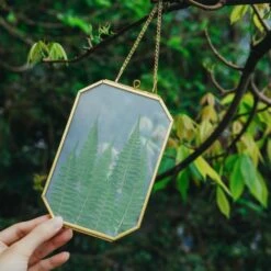 Wall Hanging Long Octagon Herbarium Brass Glass Frame For Pressed Flowers Dried Floating Frame -Ncyp Garden Sale Shop G01A9779