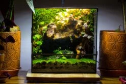 NCYP Close Geometric Glass Terrarium With Door, Tin Sealed Rectangle Tall Moss Wall Planter For Moss Wall, Fern, Landscape Multiple Size -Ncyp Garden Sale Shop IMG 0052