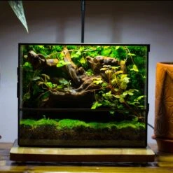 NCYP Close Geometric Glass Terrarium With Door, Tin Sealed Rectangle Tall Moss Wall Planter For Moss Wall, Fern, Landscape Multiple Size -Ncyp Garden Sale Shop IMG 0056