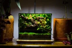 NCYP Close Geometric Glass Terrarium With Door, Tin Sealed Rectangle Tall Moss Wall Planter For Moss Wall, Fern, Landscape Multiple Size -Ncyp Garden Sale Shop IMG 0057 2