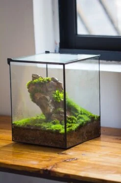 NCYP Basic Rectangle Close Geometric Glass Tin Terrarium, Planter Multiple Size For Moss Wall, Fern, Landscape Multiple Size, No Plants -Ncyp Garden Sale Shop IMG 0069