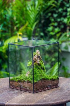 NCYP Basic Rectangle Close Geometric Glass Tin Terrarium, Planter Multiple Size For Moss Wall, Fern, Landscape Multiple Size, No Plants -Ncyp Garden Sale Shop IMG 0072