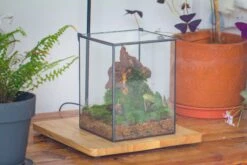 NCYP Basic Rectangle Close Geometric Glass Tin Terrarium, Planter Multiple Size For Moss Wall, Fern, Landscape Multiple Size, No Plants -Ncyp Garden Sale Shop IMG 0105