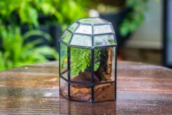 Half Dome Geometric Glass Terrarium, Close, Succulents Planter Pot Miniature Landscape Bonsai Container -Ncyp Garden Sale Shop IMG 0176