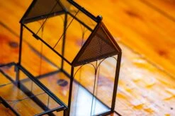 Vintage Mini House Shape Glass Geometric Terrarium For Jumping Spider -Ncyp Garden Sale Shop IMG 0190