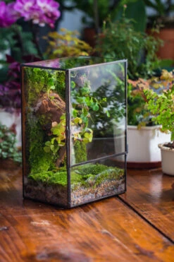 NCYP Close Geometric Glass Terrarium With Door, Tin Sealed Rectangle Tall Moss Wall Planter For Moss Wall, Fern, Landscape Multiple Size -Ncyp Garden Sale Shop IMG 0226