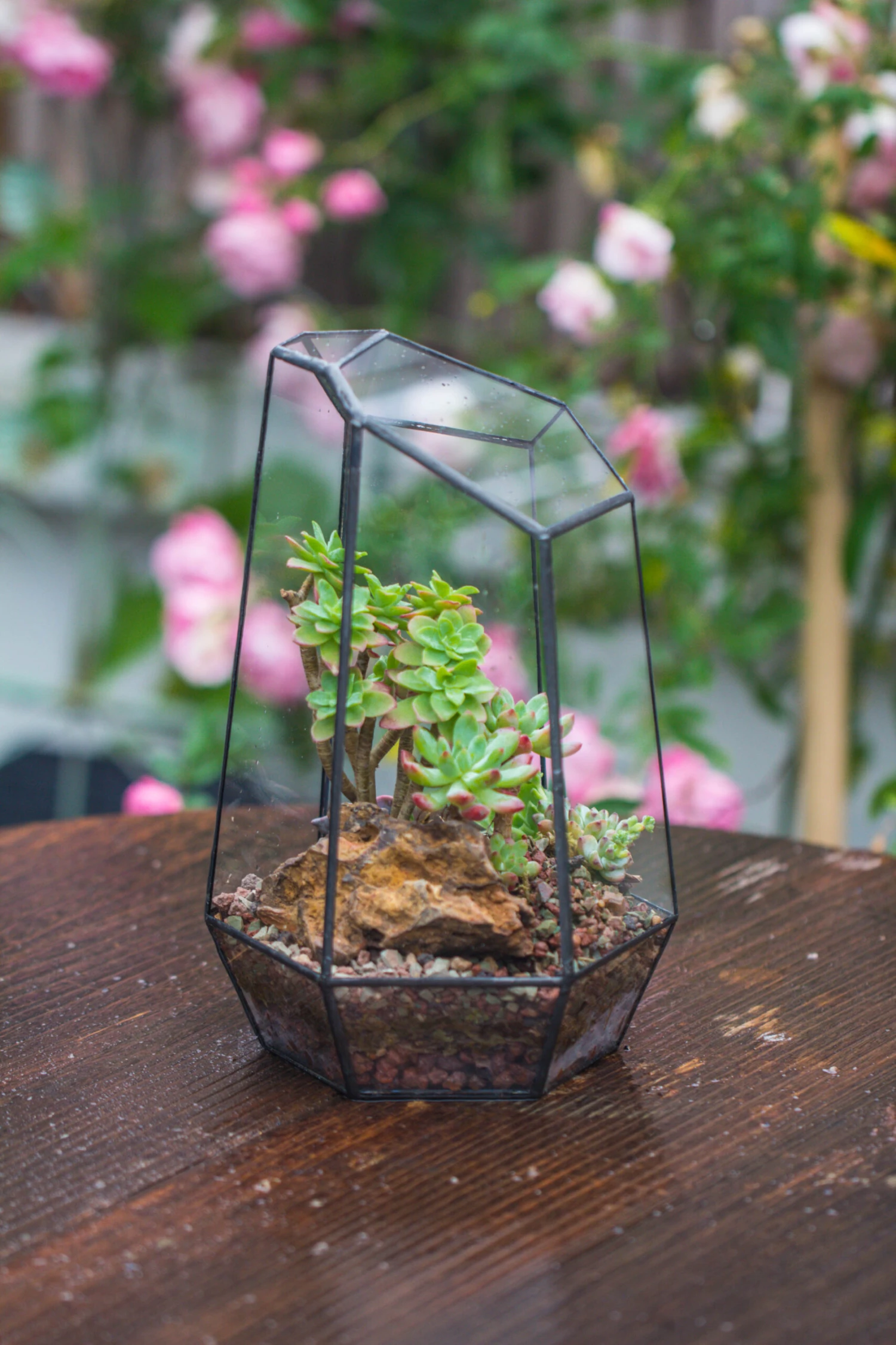 Handmade Irregular Tall Black Glass Geometric Terrarium Various Size For Succulents Moss Airplants 16 Handmade Irregular Tall Black Glass Geometric Terrarium Various Size For Succulents Moss Airplants - Image 16