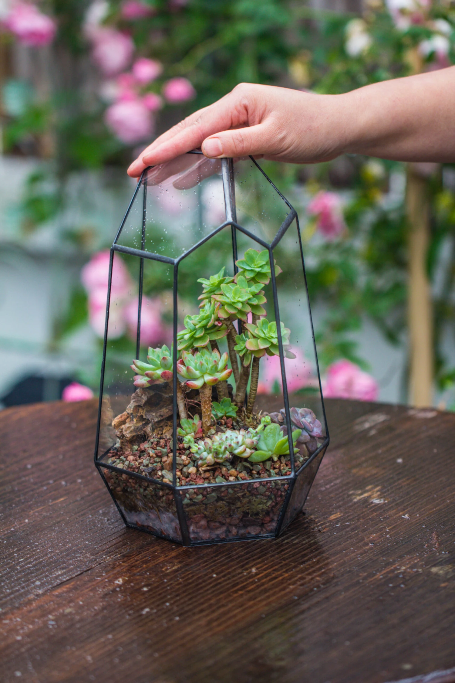Handmade Irregular Tall Black Glass Geometric Terrarium Various Size For Succulents Moss Airplants 20 Handmade Irregular Tall Black Glass Geometric Terrarium Various Size For Succulents Moss Airplants - Image 20