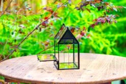 Vintage Mini House Shape Glass Geometric Terrarium For Jumping Spider -Ncyp Garden Sale Shop IMG 0276
