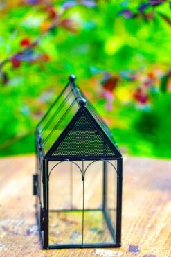 Vintage Mini House Shape Glass Geometric Terrarium For Jumping Spider -Ncyp Garden Sale Shop IMG 0280