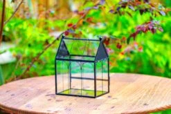 Vintage Mini House Shape Glass Geometric Terrarium For Jumping Spider -Ncyp Garden Sale Shop IMG 0282
