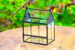 Vintage Mini House Shape Glass Geometric Terrarium For Jumping Spider -Ncyp Garden Sale Shop IMG 0284