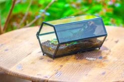 NCYP Long Hexagon Mimi Geometric Terrarium For Spiders And Small Insects -Ncyp Garden Sale Shop IMG 0372