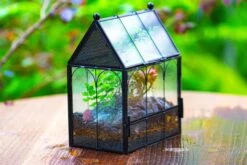 Vintage Mini House Shape Glass Geometric Terrarium For Jumping Spider -Ncyp Garden Sale Shop IMG 0423