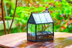 Vintage Mini House Shape Glass Geometric Terrarium For Jumping Spider -Ncyp Garden Sale Shop IMG 0424