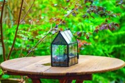 Vintage Mini House Shape Glass Geometric Terrarium For Jumping Spider -Ncyp Garden Sale Shop IMG 0425