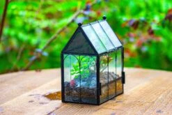 Vintage Mini House Shape Glass Geometric Terrarium For Jumping Spider -Ncyp Garden Sale Shop IMG 0426