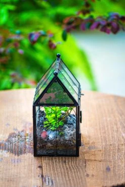 Vintage Mini House Shape Glass Geometric Terrarium For Jumping Spider -Ncyp Garden Sale Shop IMG 0428 2