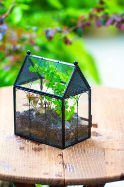 Vintage Mini House Shape Glass Geometric Terrarium For Jumping Spider -Ncyp Garden Sale Shop IMG 0429 2