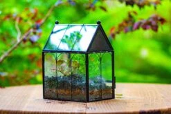 Vintage Mini House Shape Glass Geometric Terrarium For Jumping Spider -Ncyp Garden Sale Shop IMG 0430