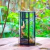 NCYP Tall Hexagon Mimi Geometric Terrarium For Spiders And Small Insects