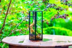 NCYP Tall Hexagon Mimi Geometric Terrarium For Spiders And Small Insects -Ncyp Garden Sale Shop IMG 0466