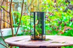 NCYP Tall Hexagon Mimi Geometric Terrarium For Spiders And Small Insects -Ncyp Garden Sale Shop IMG 0467