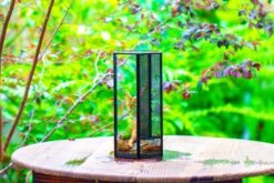 NCYP Tall Hexagon Mimi Geometric Terrarium For Spiders And Small Insects -Ncyp Garden Sale Shop IMG 0468