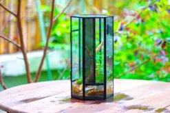 NCYP Tall Hexagon Mimi Geometric Terrarium For Spiders And Small Insects -Ncyp Garden Sale Shop IMG 0469