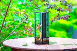 NCYP Tall Hexagon Mimi Geometric Terrarium For Spiders And Small Insects -Ncyp Garden Sale Shop IMG 0471
