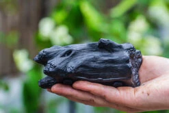 Small Black Tree Stump Like Planter, For Terrarium, Microlandscape -Ncyp Garden Sale Shop IMG 0621