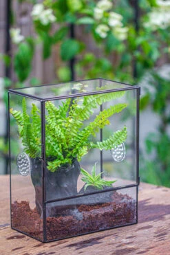 Handmade Close Glass Terrarium With Vents, With LED Grow Light Set, FOR Insects, Bugs 24 Handmade Close Glass Terrarium With Vents, With LED Grow Light Set, FOR Insects, Bugs -Ncyp Garden Sale Shop IMG 0659 96bb0c83 84ff 4fb1 873f d1a989522307