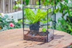 Handmade Close Glass Terrarium With Vents, With LED Grow Light Set, FOR Insects, Bugs 27 Handmade Close Glass Terrarium With Vents, With LED Grow Light Set, FOR Insects, Bugs -Ncyp Garden Sale Shop IMG 0661 7d66d344 43de 44c5 9cde c12ddca0ea54