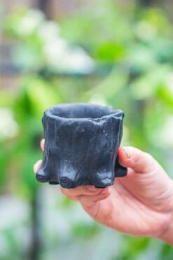 Small Black Tree Stump Like Planter, For Terrarium, Microlandscape -Ncyp Garden Sale Shop IMG 0671