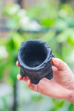 Small Black Tree Stump Like Planter, For Terrarium, Microlandscape -Ncyp Garden Sale Shop IMG 0672