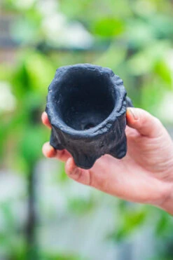 Small Black Tree Stump Like Planter, For Terrarium, Microlandscape -Ncyp Garden Sale Shop IMG 0673