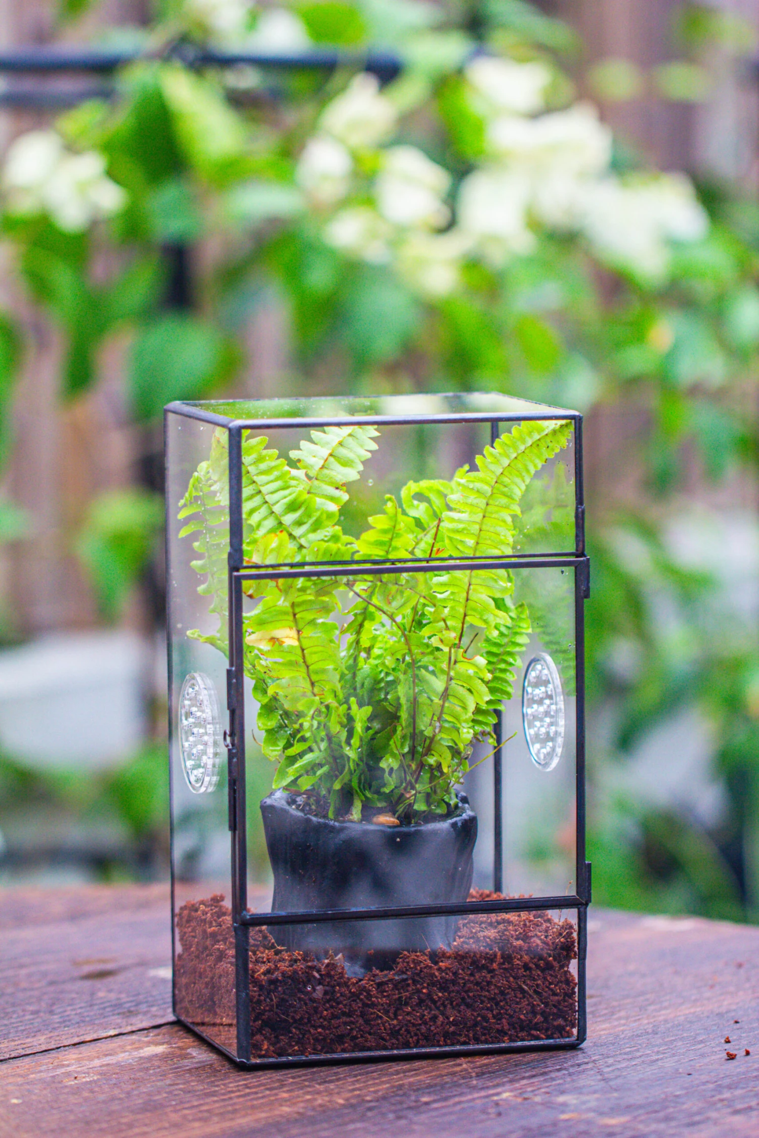 Rectangle Tin And Glass Geometric Terrarium Kit, With Side Door, With Vent, Snail Terrarium Building Set 11 Rectangle Tin And Glass Geometric Terrarium Kit, With Side Door, With Vent, Snail Terrarium Building Set - Image 11