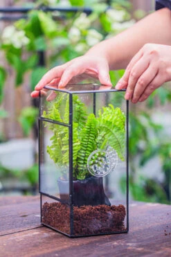 Rectangle Tin And Glass Geometric Terrarium Kit, With Side Door, With Vent, Snail Terrarium Building Set 27 Rectangle Tin And Glass Geometric Terrarium Kit, With Side Door, With Vent, Snail Terrarium Building Set -Ncyp Garden Sale Shop IMG 0681